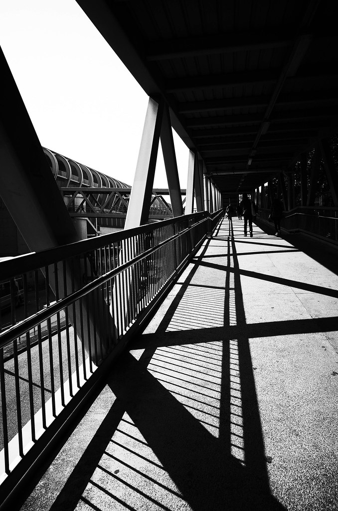 The Bridge